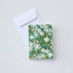Jasmine and Orange Blossom Gift Card